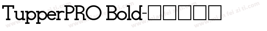 TupperPRO Bold字体转换